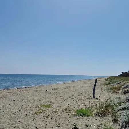 Casa de Férias A Piaghja En Corse : Petite En Bord De Mer A 100 Metres De La Plage